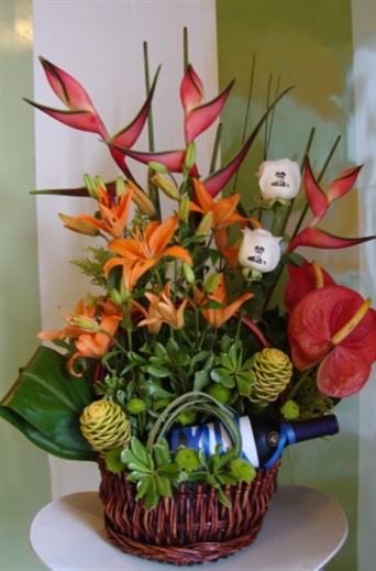 SRP-0180 Tropic
