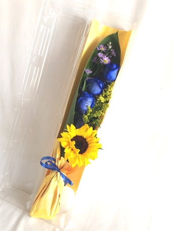 RBP-C001 In blue inside box -caja-