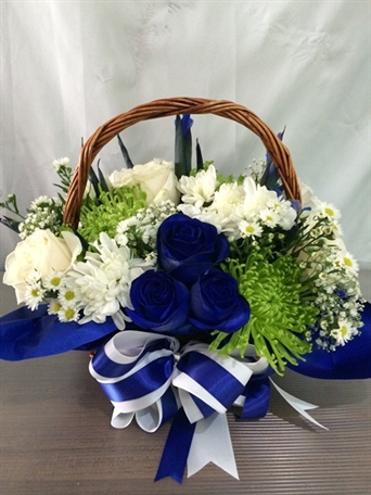 SRP-0404 In Blue Cestita