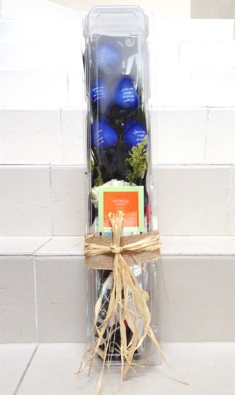 RBP-C005 In Blue The Chief -caja-
