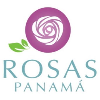 HT-006 Spontaneo (3 girasoles)