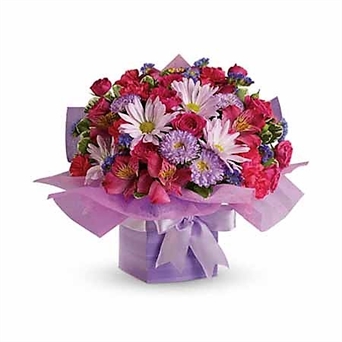 BB MD16-05 Mom mix box