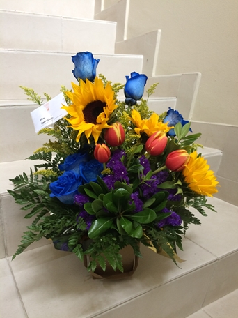 BB-088 In Blue Celebration (azul, girasol y tulipan)
