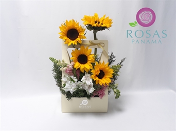 KB-323 Frescura Alegre (girasol)