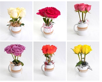 Mug-046 MD20 Taza de 4 rosas según color + chocolates