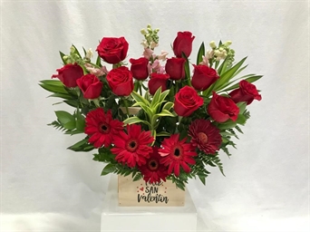 VAL 043 Red Splash (12 rosas)