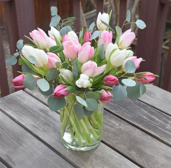 SRP-0042 Tulipanes by three