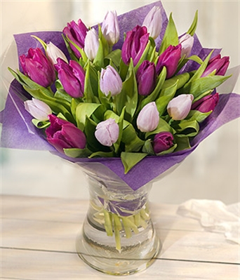 SRP-0048 Tulipanes combinados