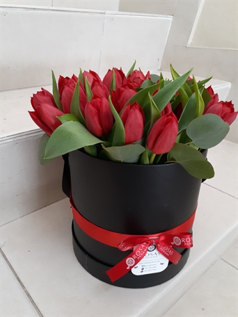 SRP-0030 Tulipanes Dearest of all