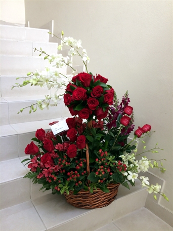 SRP-0294 Master piece topiario 36 rosas