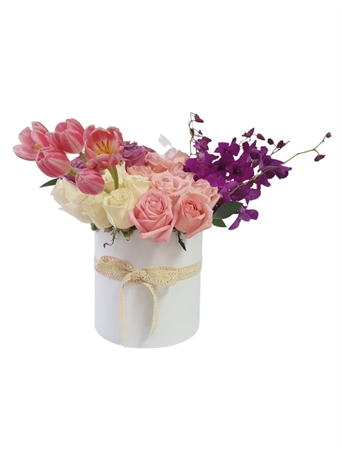 SRP-0324 VAL FT Feeling