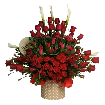 SRP-0138 VAL Like Gwen Stefani (con 25 rosas)