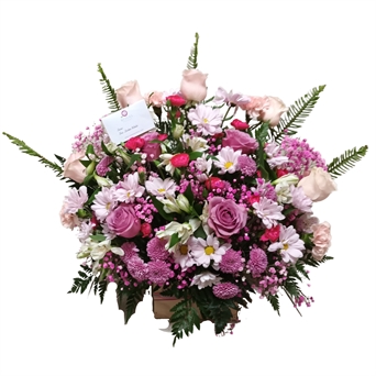 SRP-0244 MD23 Máxima (9 rosas)
