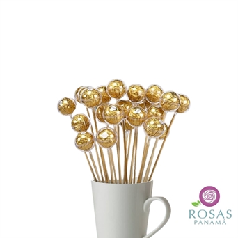 CDY-072 Ferrero Rocher 3 sticks