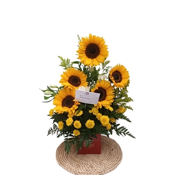 SRP-0220 Son niveles (girasoles)