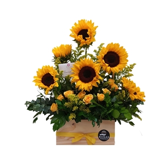 SRP-0281 Girasoles y mini rosas cute