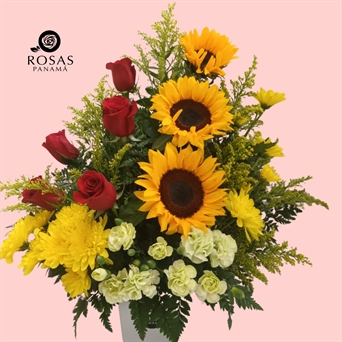 SRP-0175 MD Aventurera (5 rosas y girasoles)