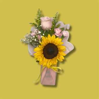 SRP-0226 Pink Yellow (girasol)