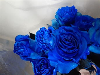 FL-103 Rosa azul tinturada - tinted in blue roses (ver lista de precio)