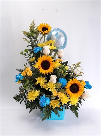 SRP-1218 Alegres de conocerte (nacimiento)