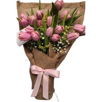 HT-144 Nubes de tulipanes