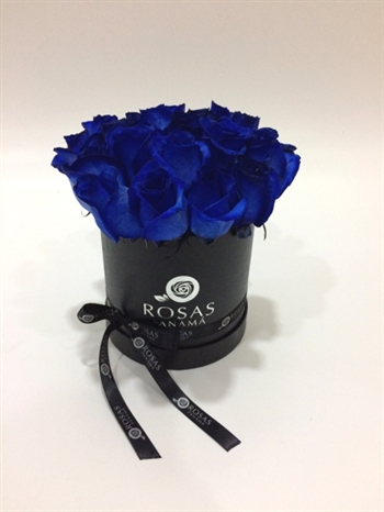 KB-104 In blue bucket rosas azules (19-21) from Rosas Panama by SRP